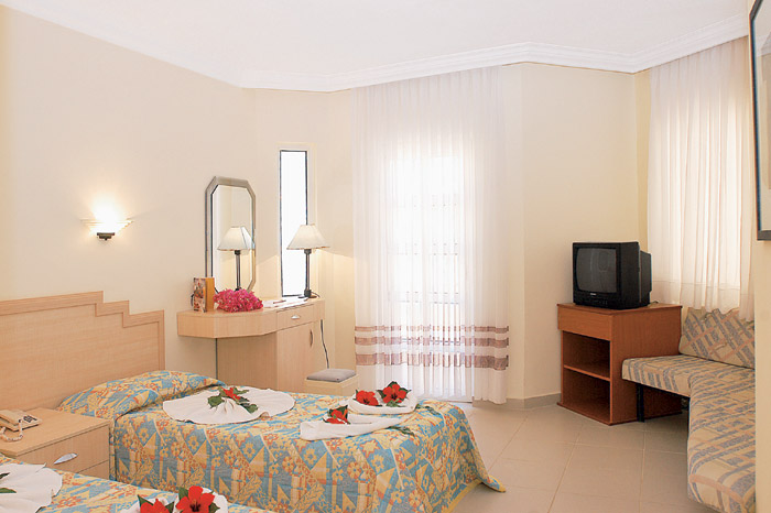 etap_altinel_03.jpg