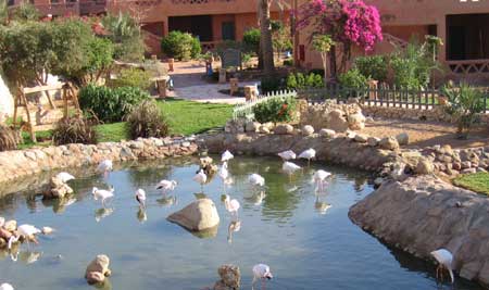 hauzabeachresort7.jpg
