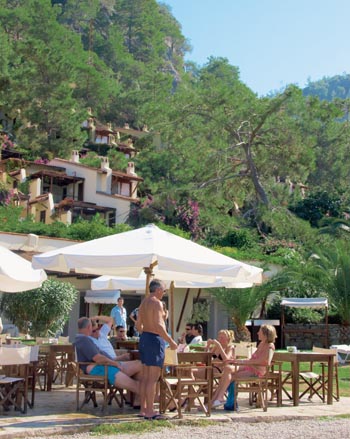 hillside1.jpg