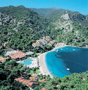 hillside11.jpg