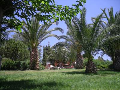 pinebayholidayres3.jpg