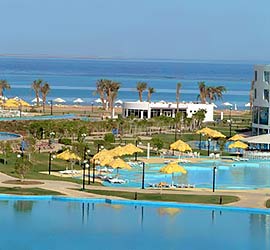 raoufstar6.jpg