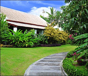 samuipalmbeach3.jpg