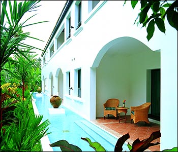 samuipalmbeach4.jpg