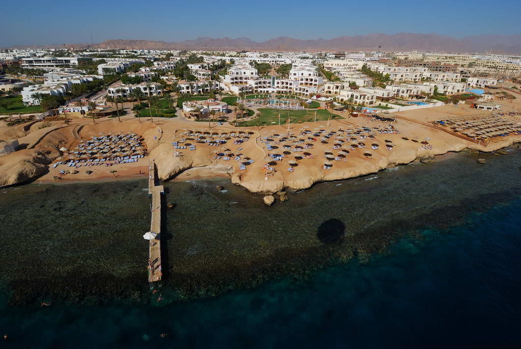 Shores Amphoras     