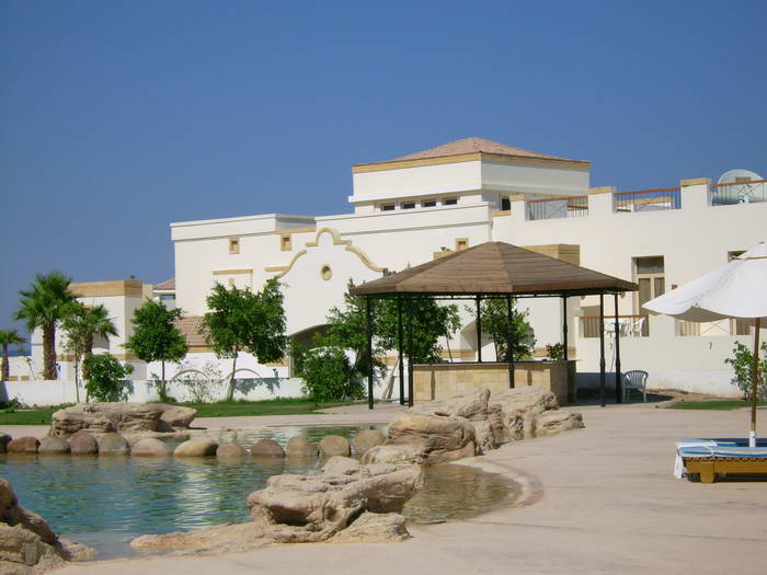 Shores Amphoras     