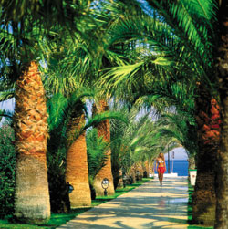 simenahotel7.jpg