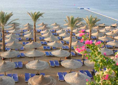 sunriseislandgarden3.jpg